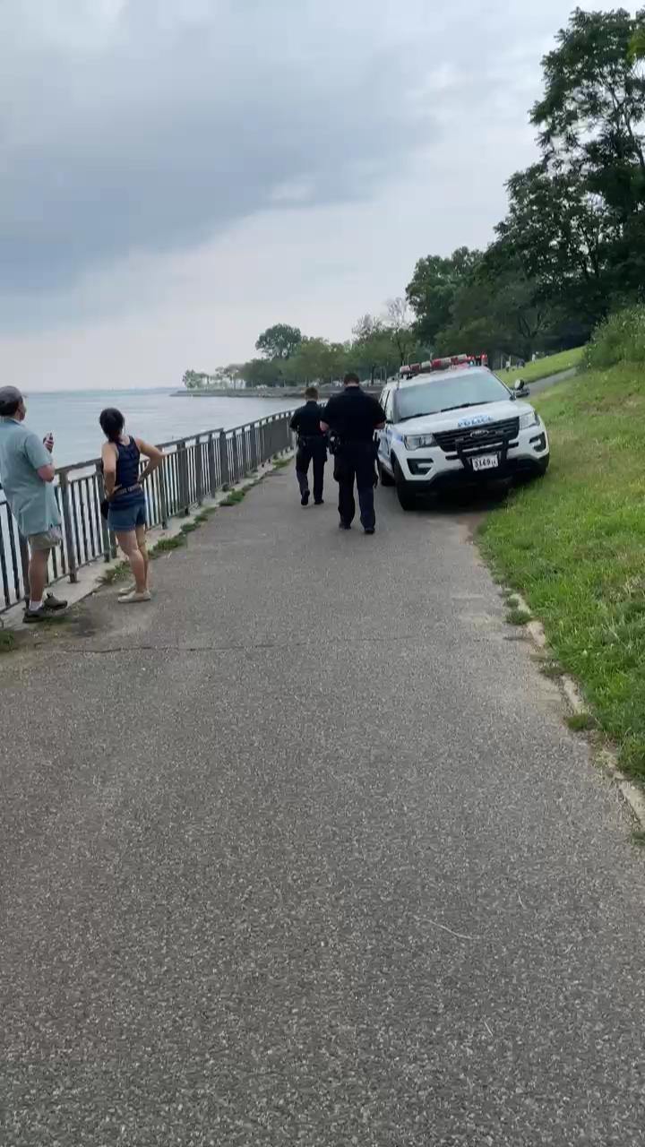 Video 2
