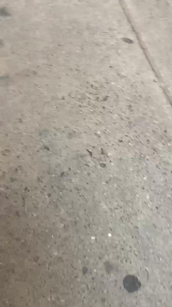 Video 12