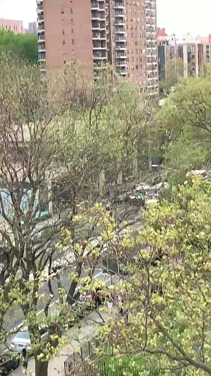 Video 22