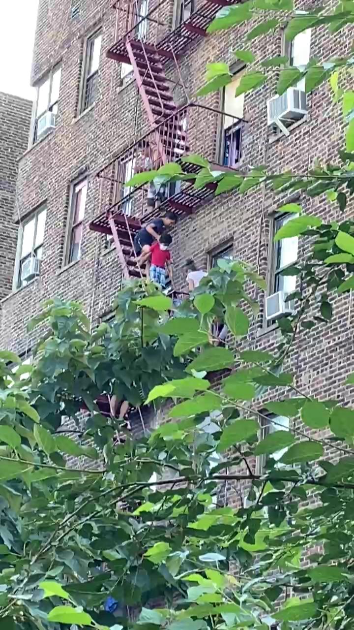 Video 6