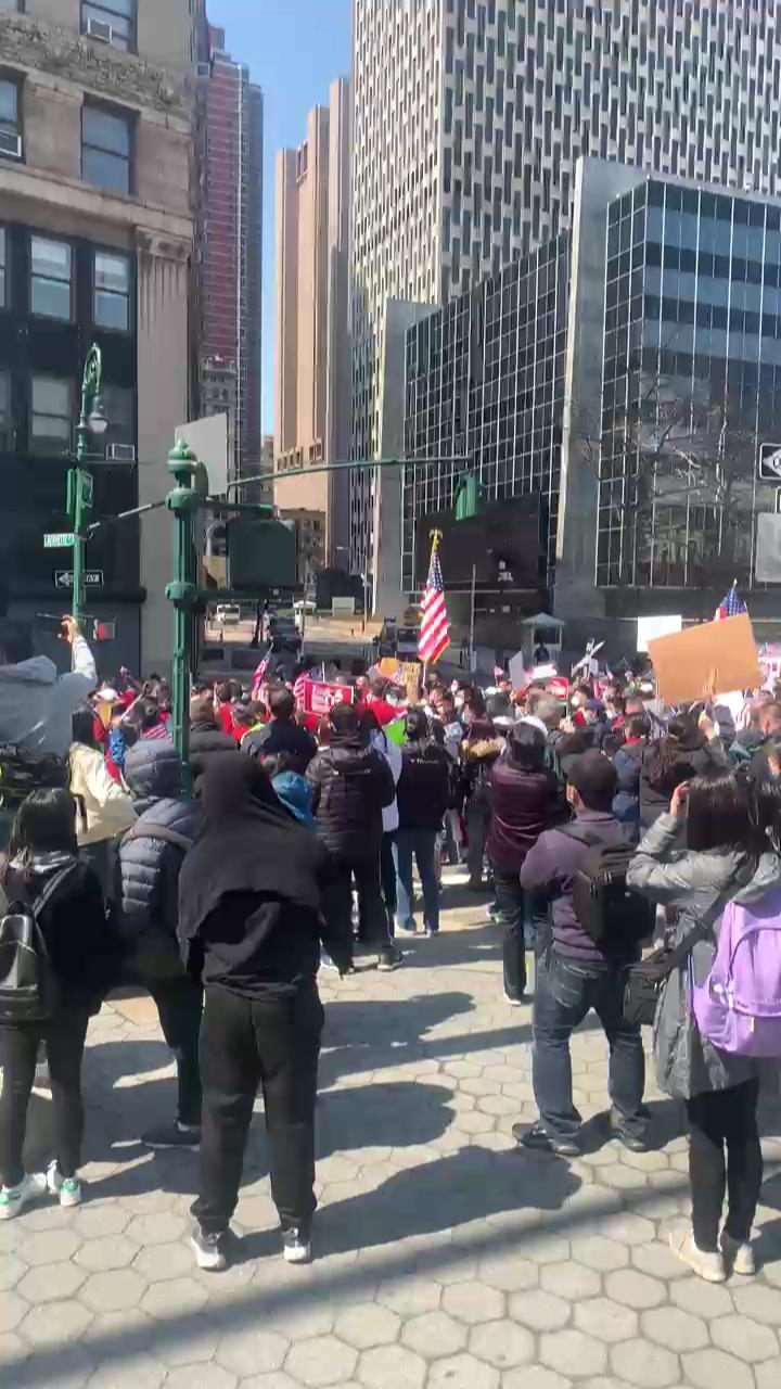 Video 19