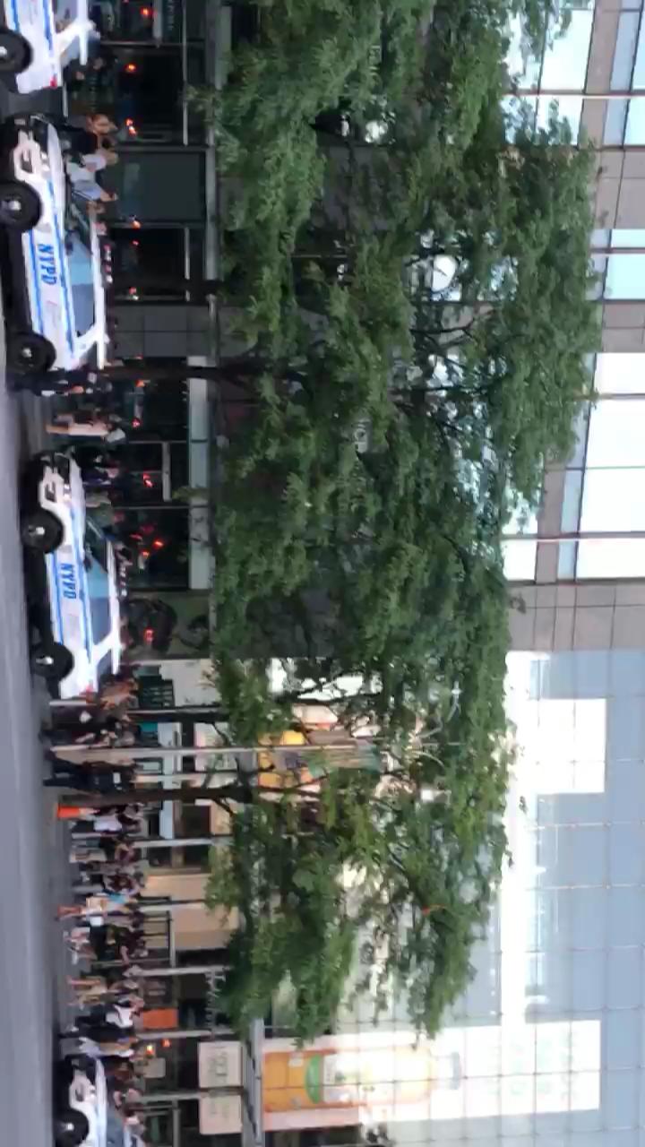 Video 73