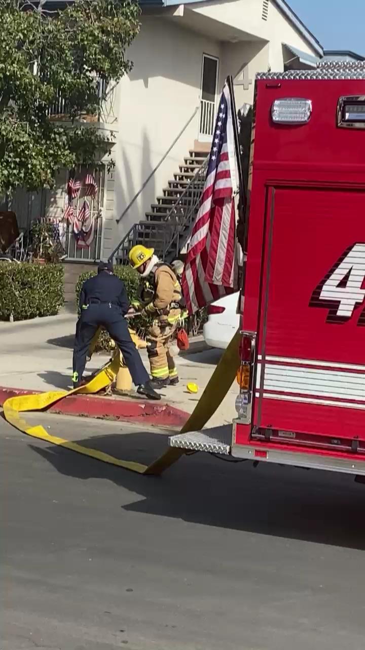 Video 17