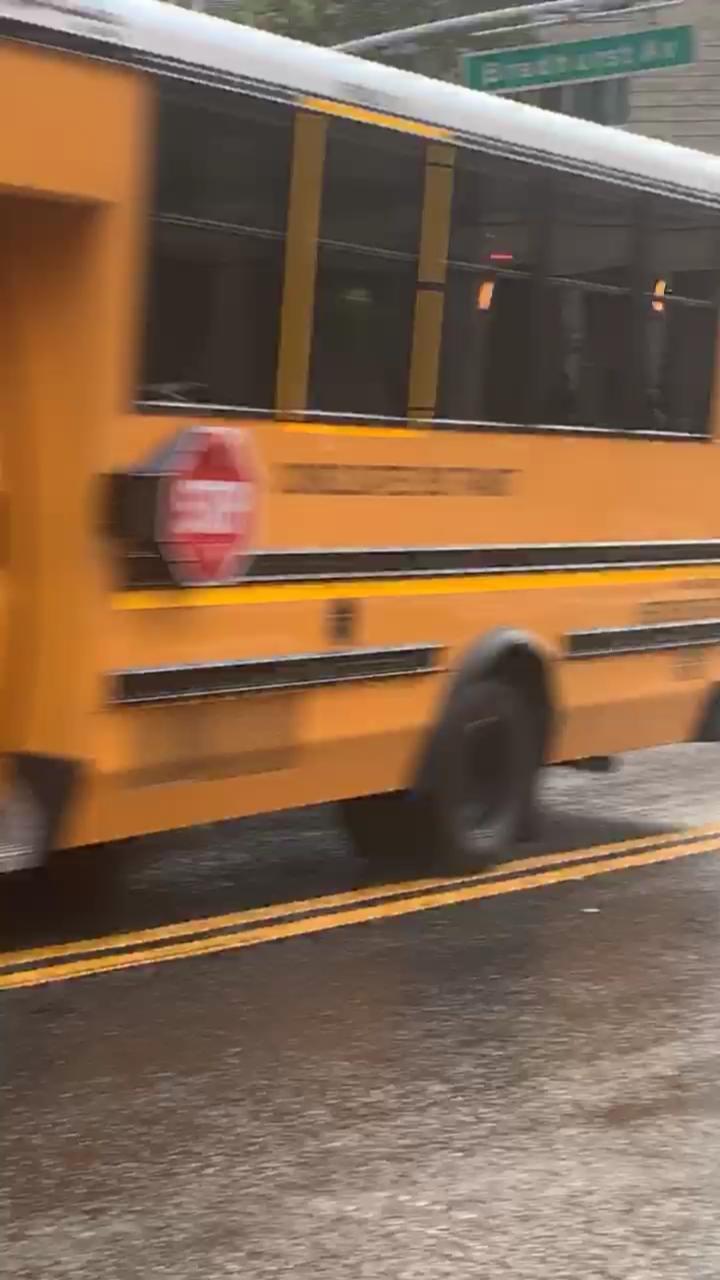 Video 6