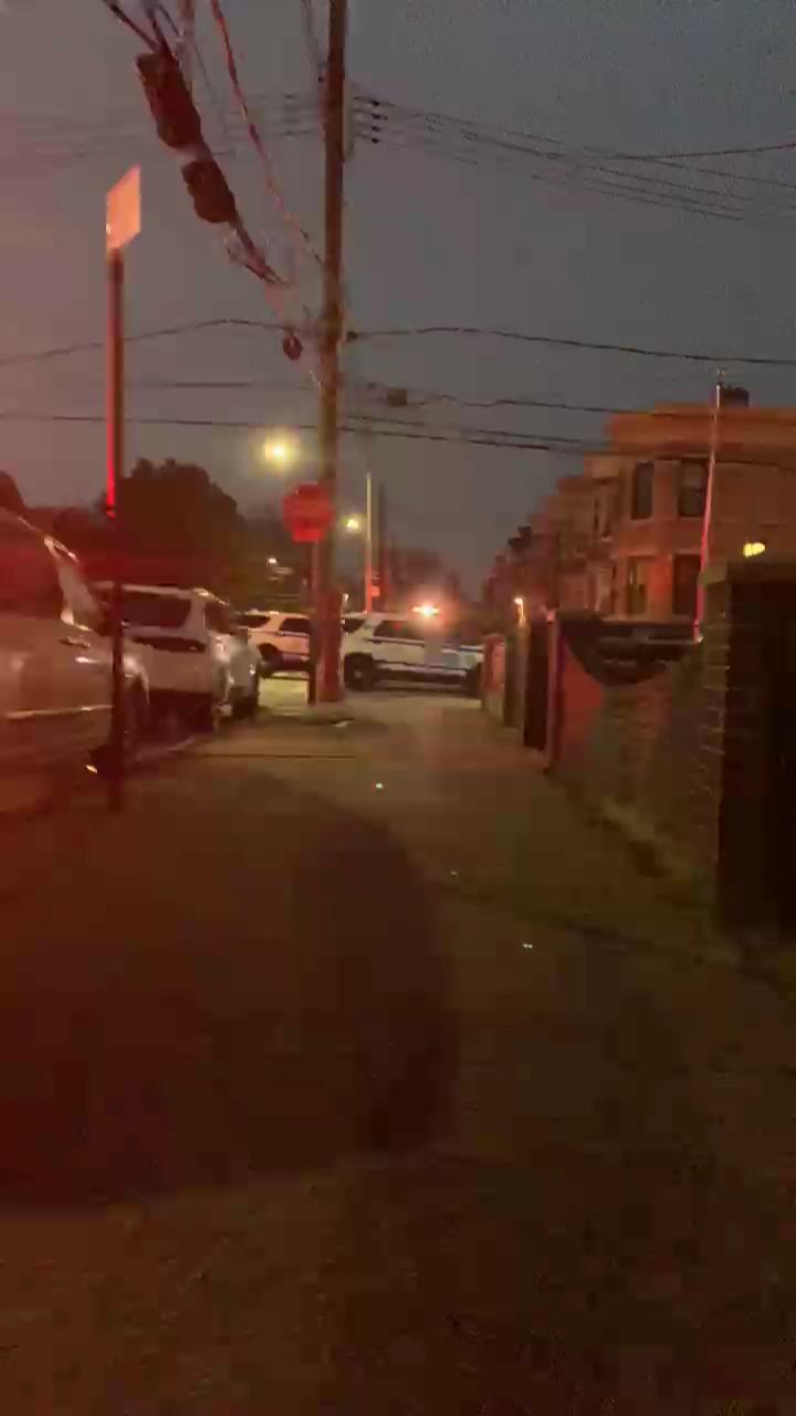Video 1
