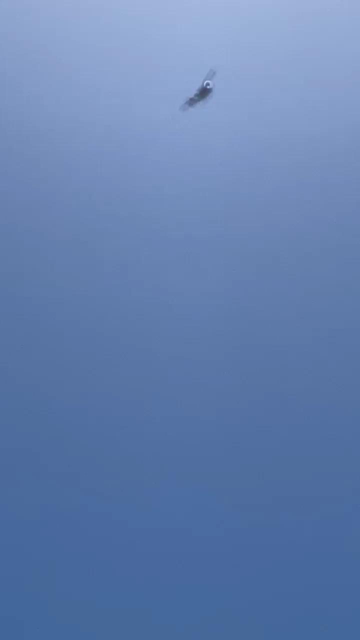 Video 5