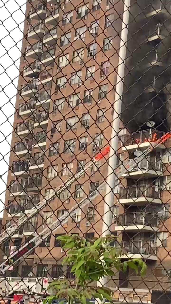 Video 7