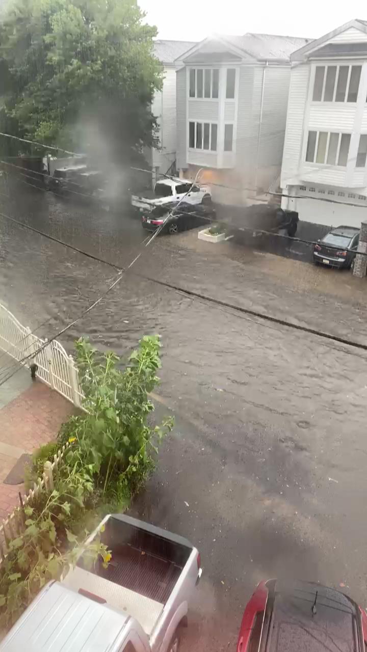 Video 1