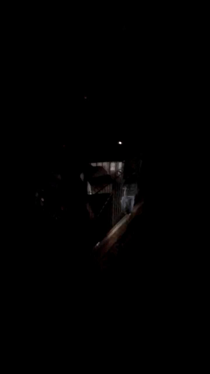 Video 12