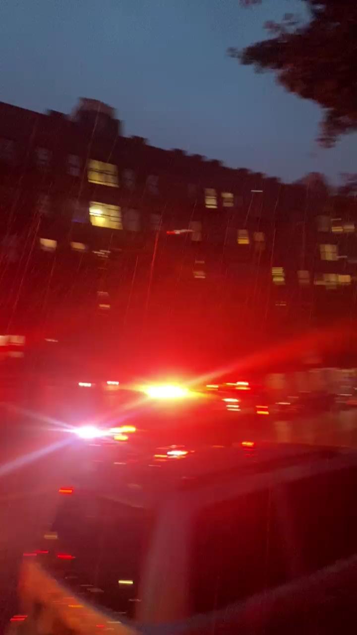 Video 2