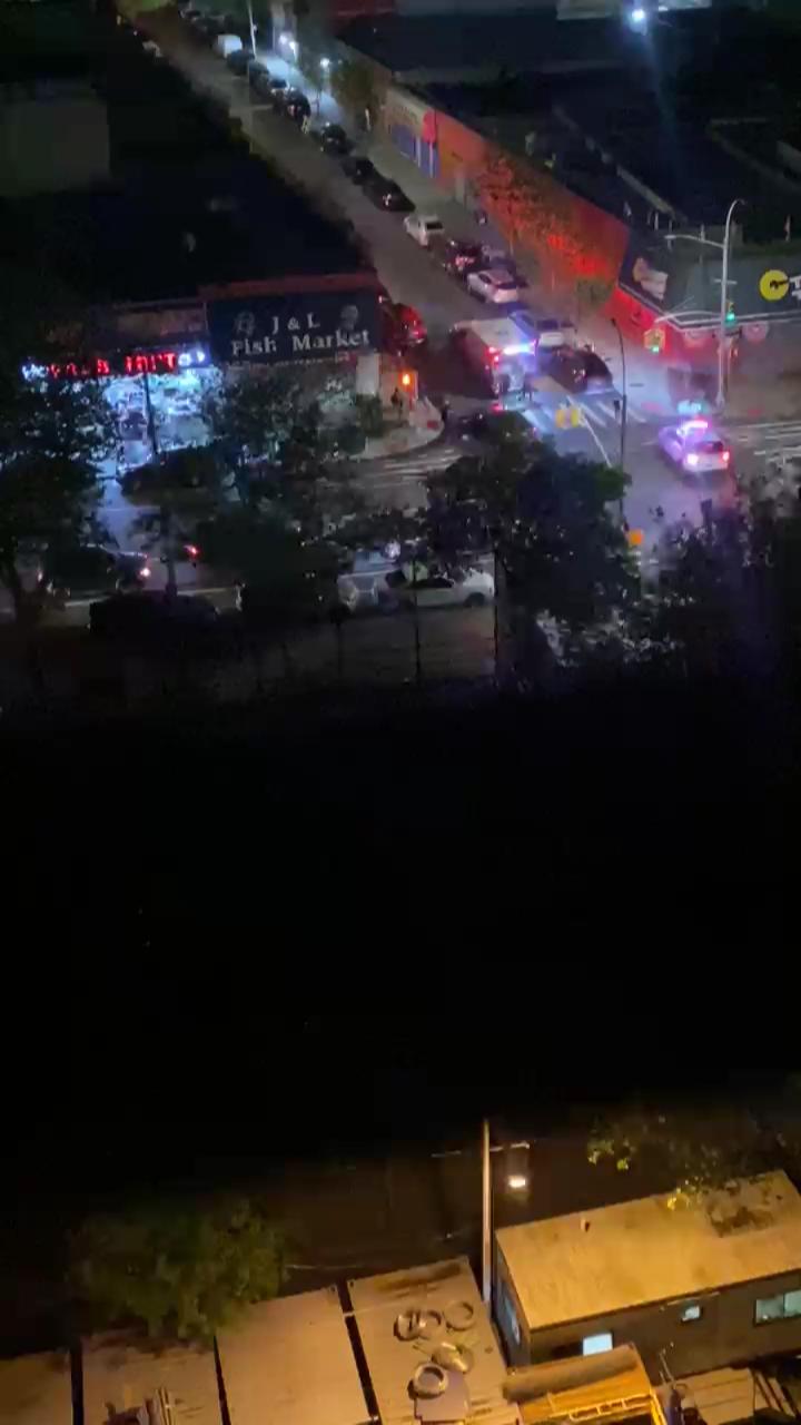 Video 8
