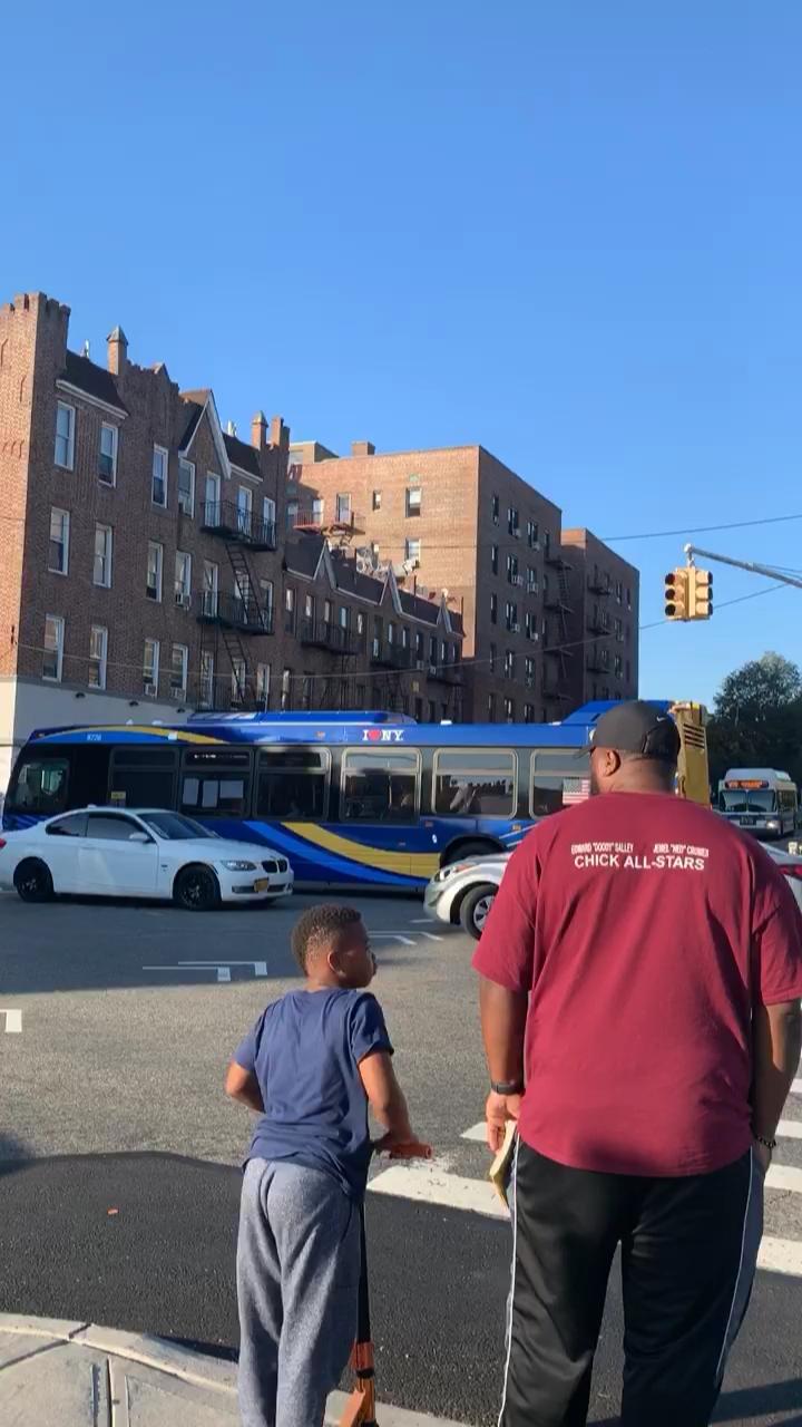 Video 15