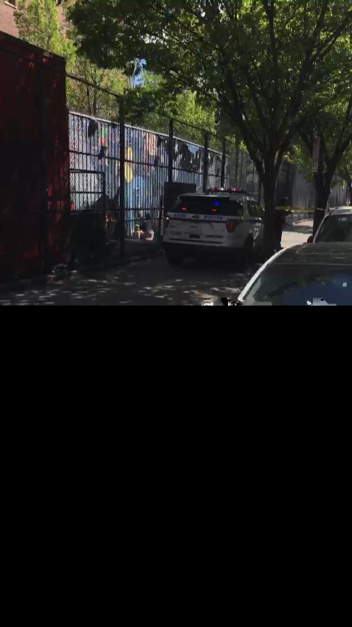 Video 4