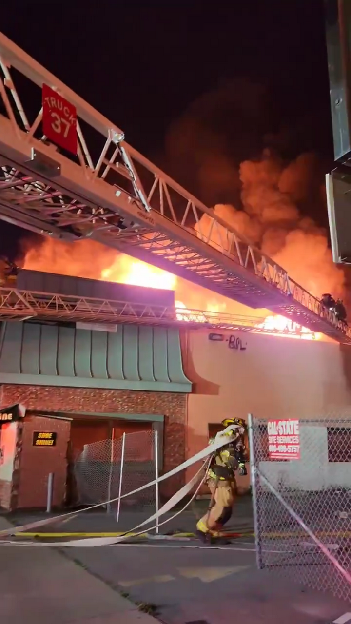 Video 11