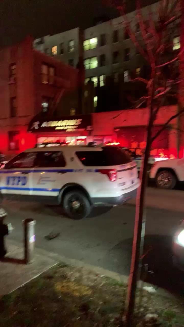 Video 1