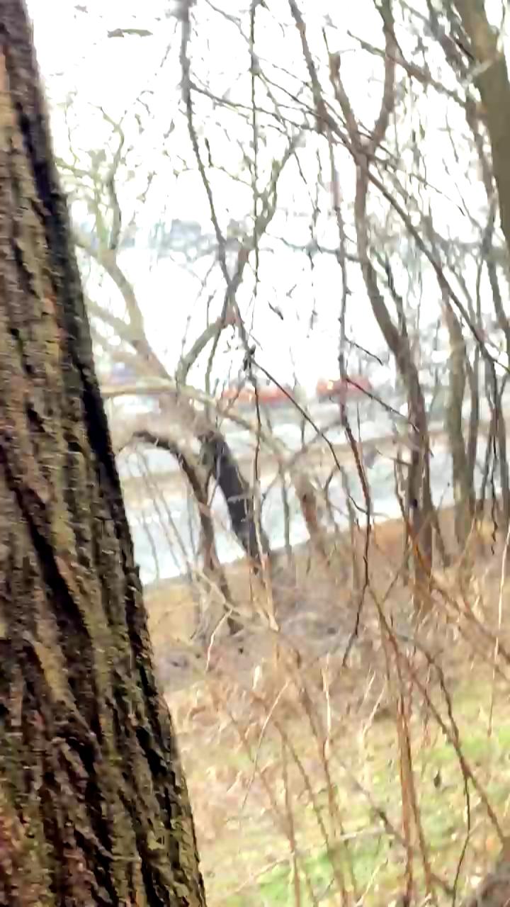 Video 2