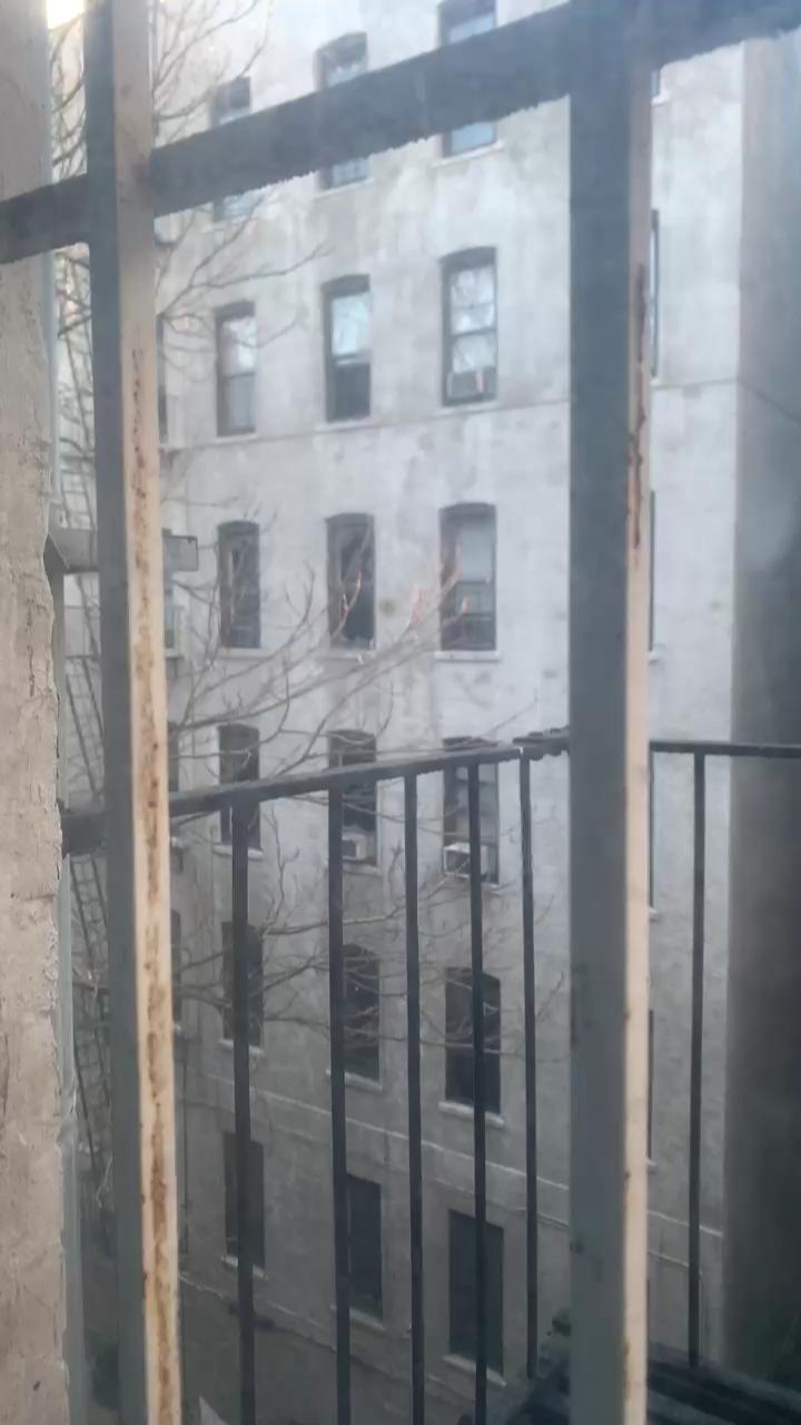 Video 15