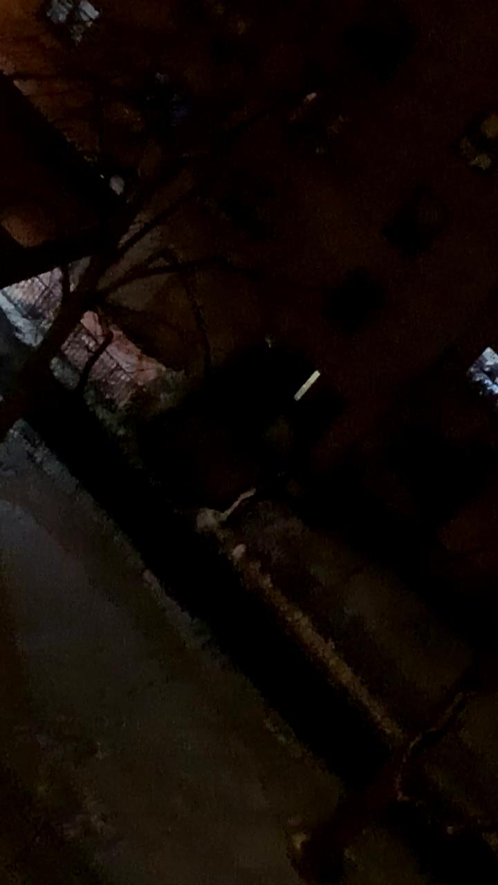 Video 2