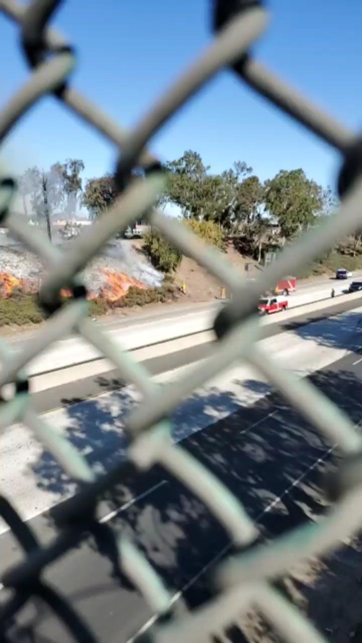Video 10