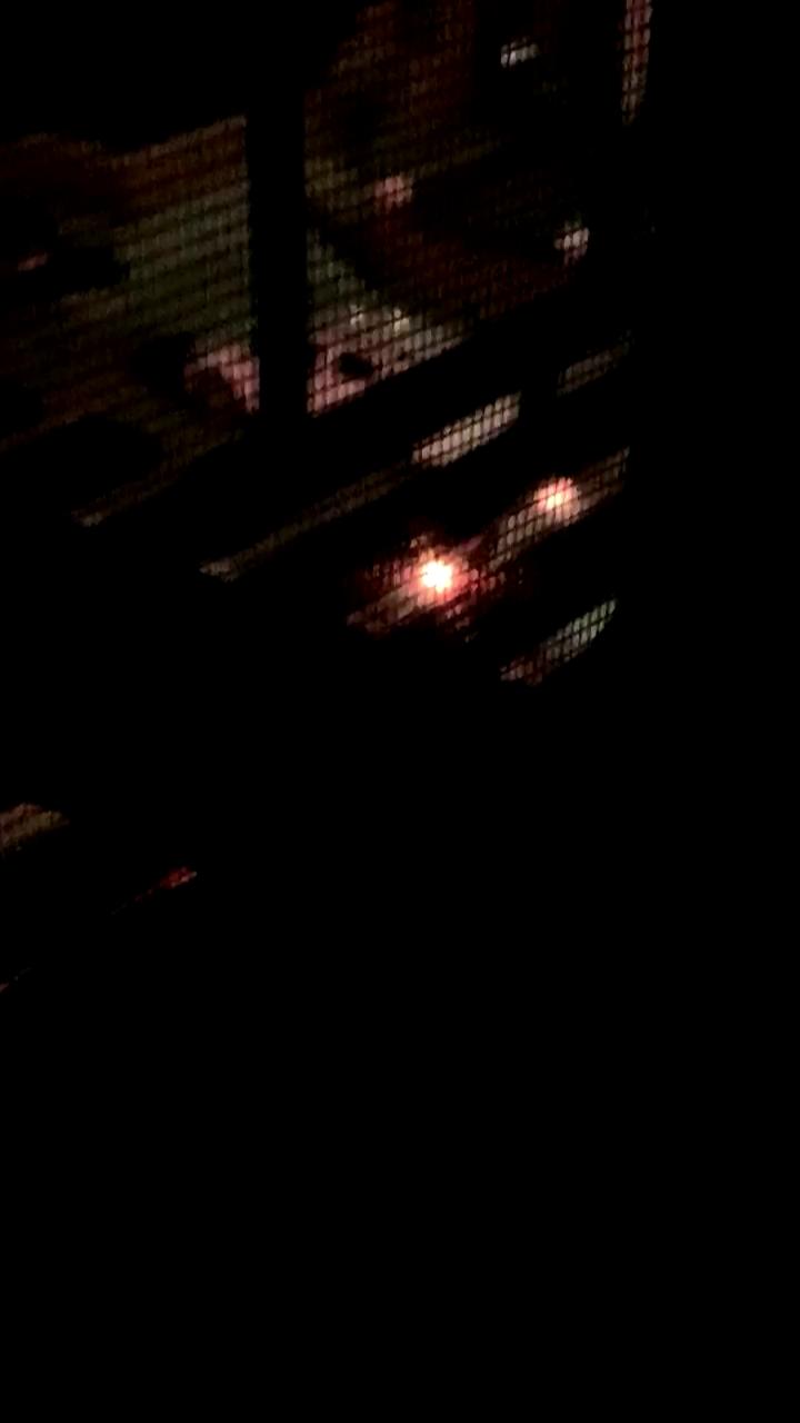 Video 3