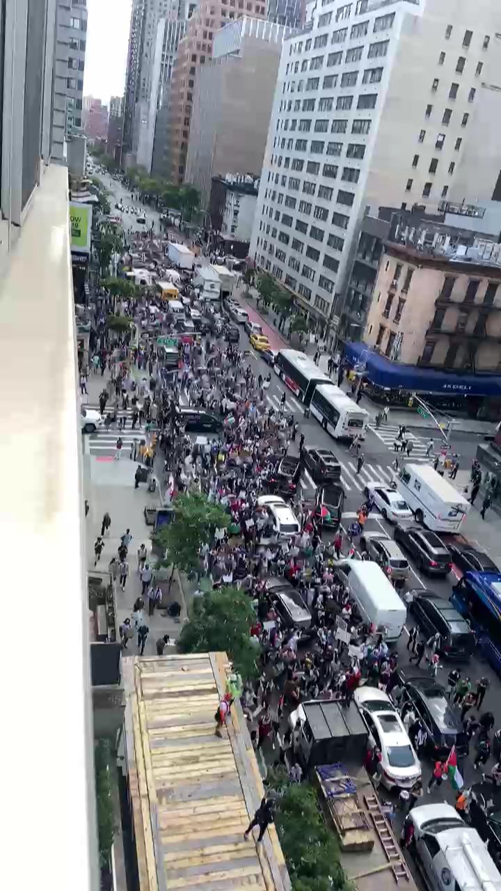 Video 24