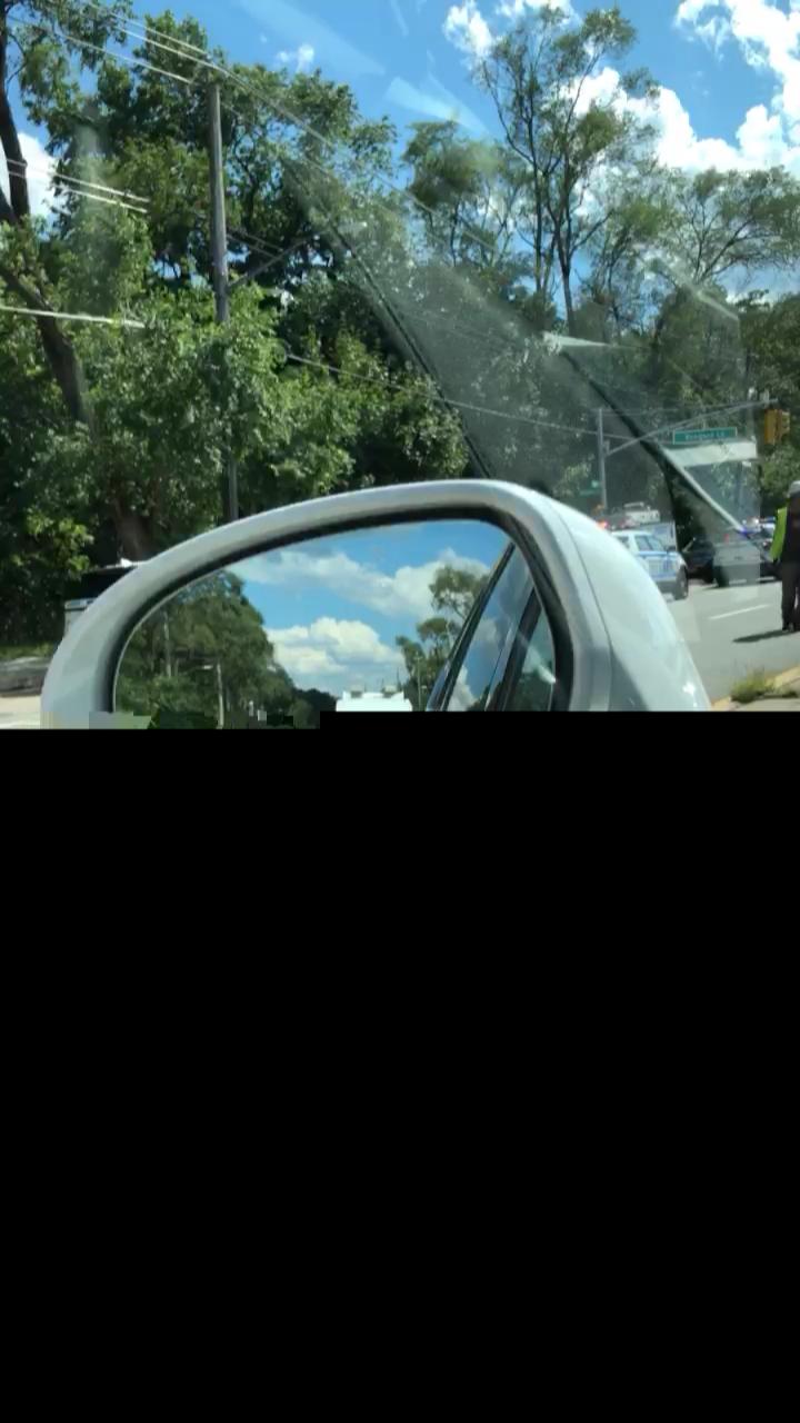 Video 7