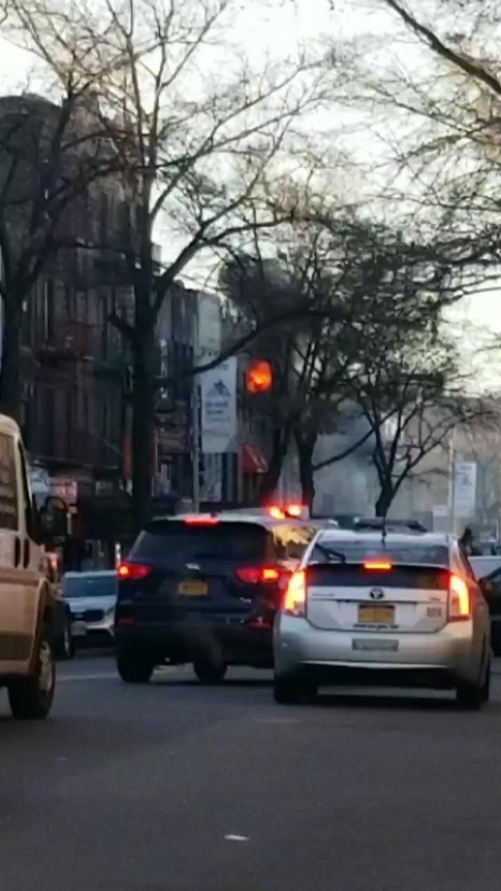 Video 7