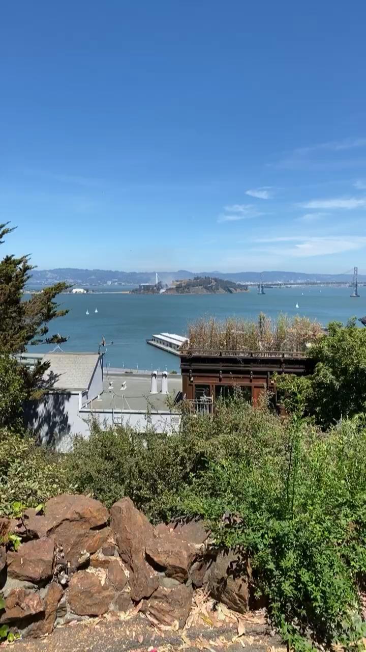 Video 3