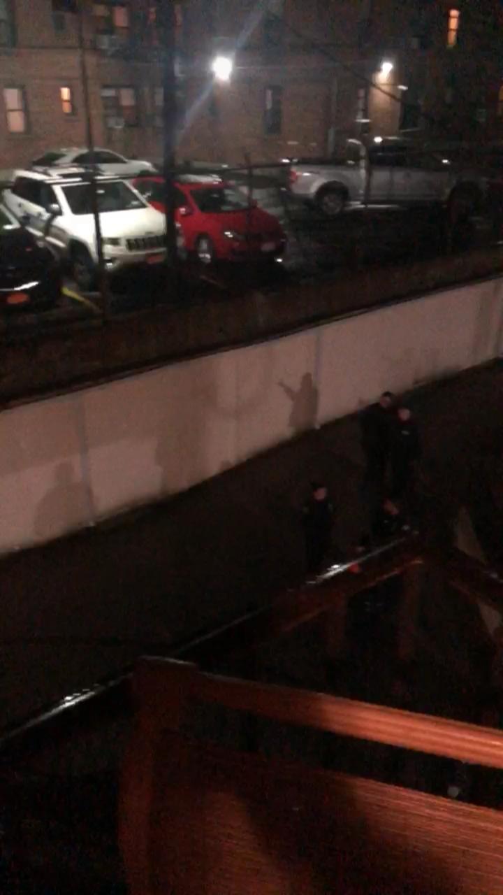 Video 2