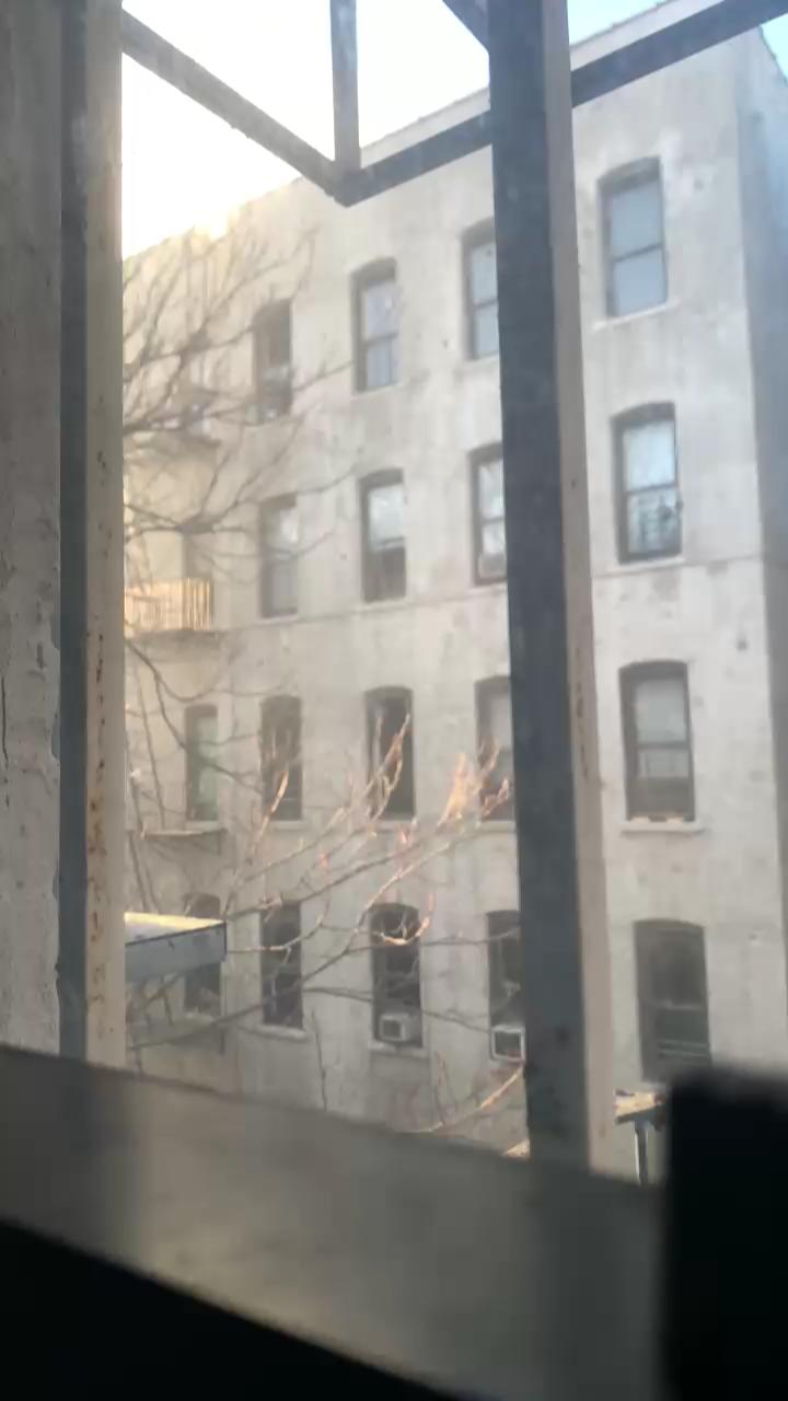Video 11