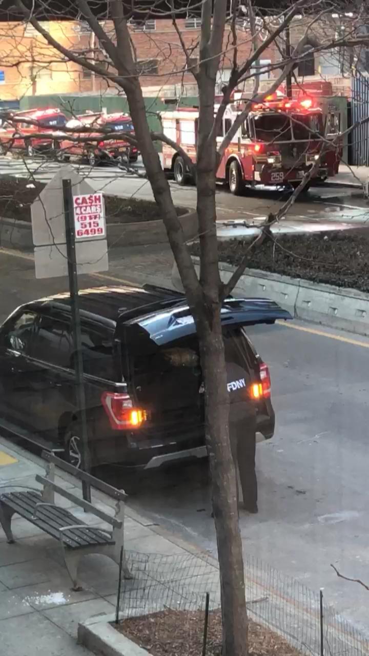 Video 44