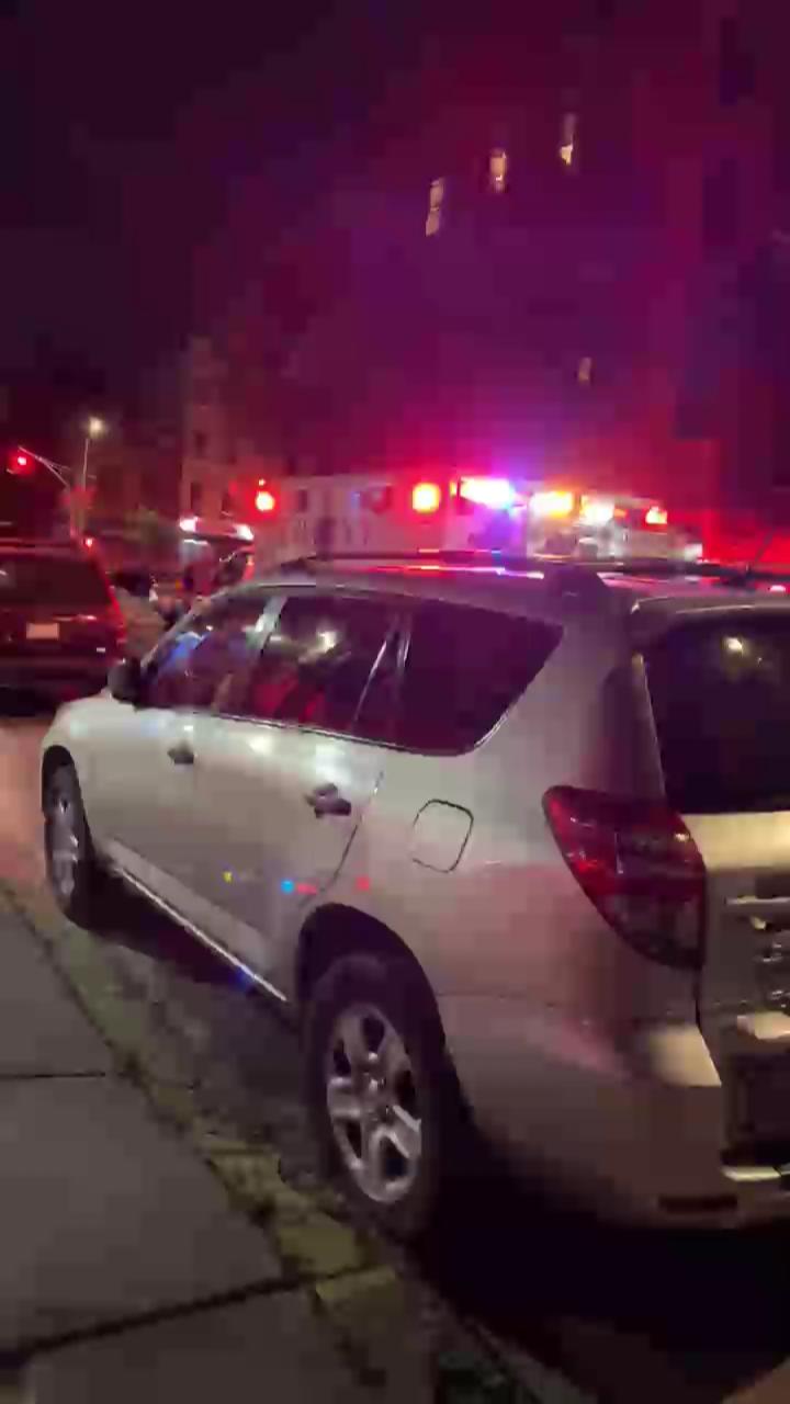 Video 1