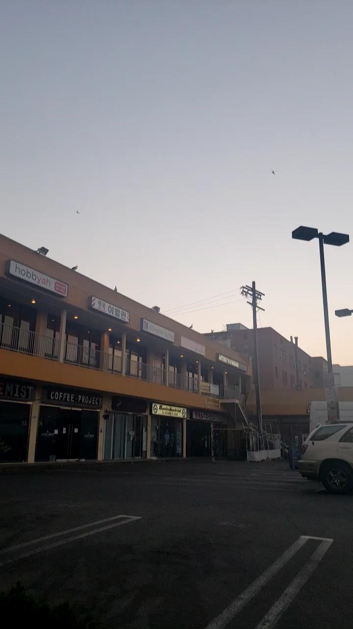 Video 5