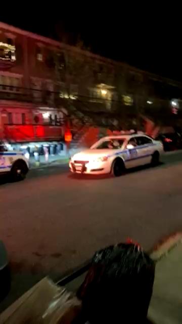 Video 5