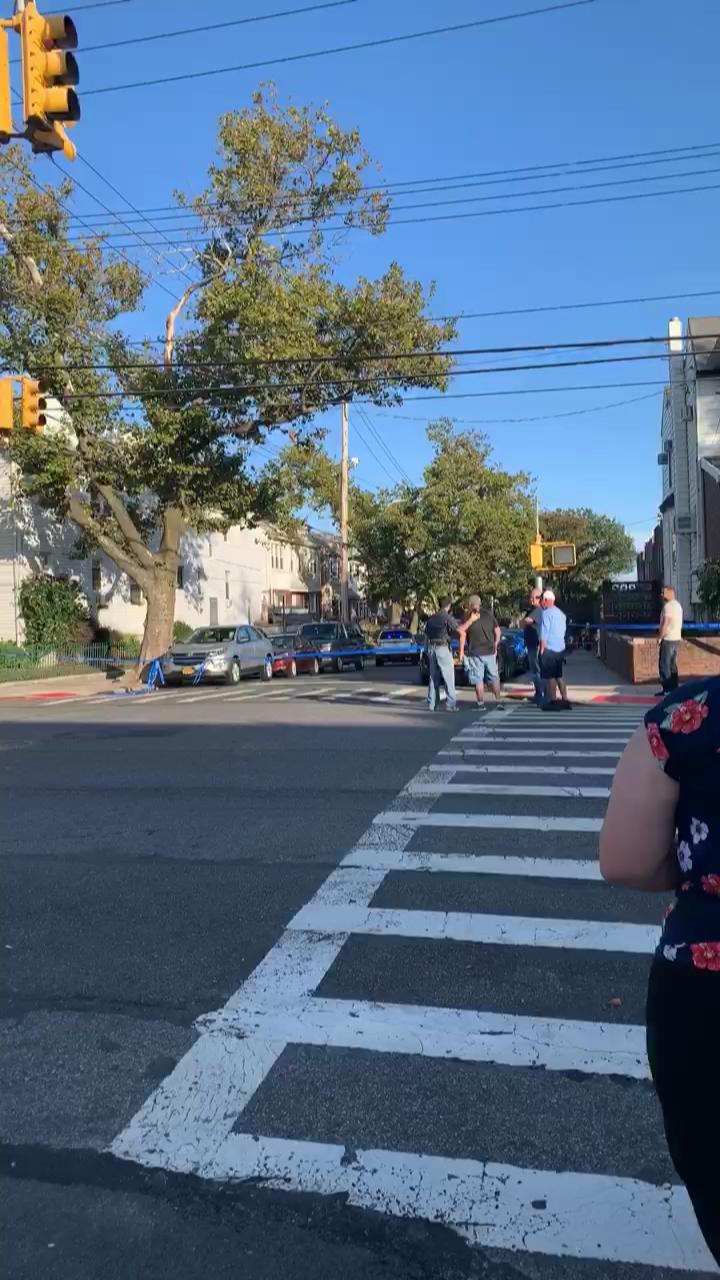 Video 6