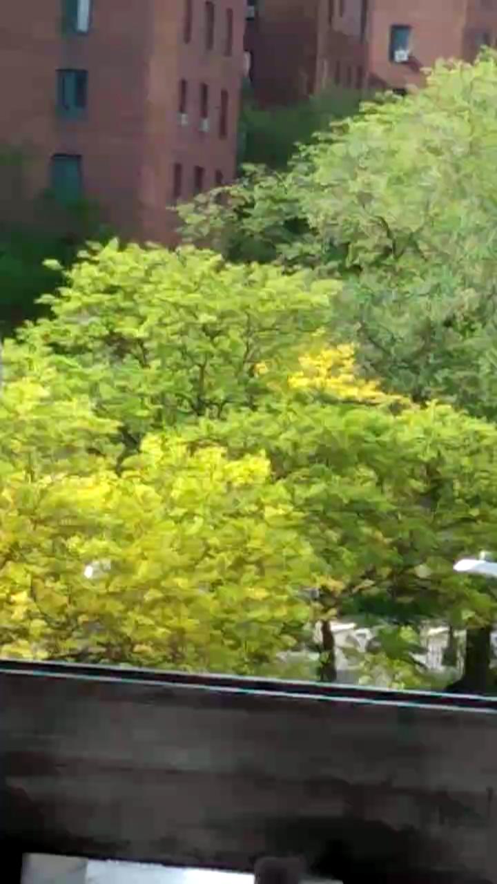 Video 16