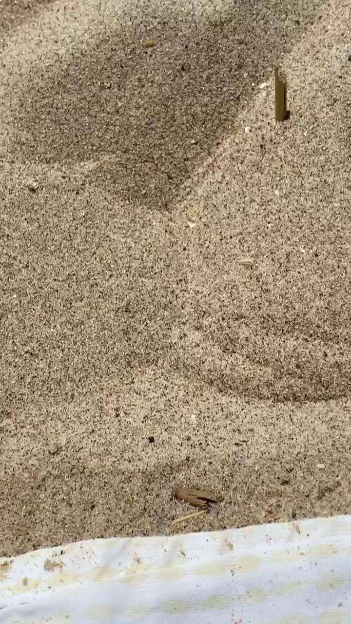 Video 22