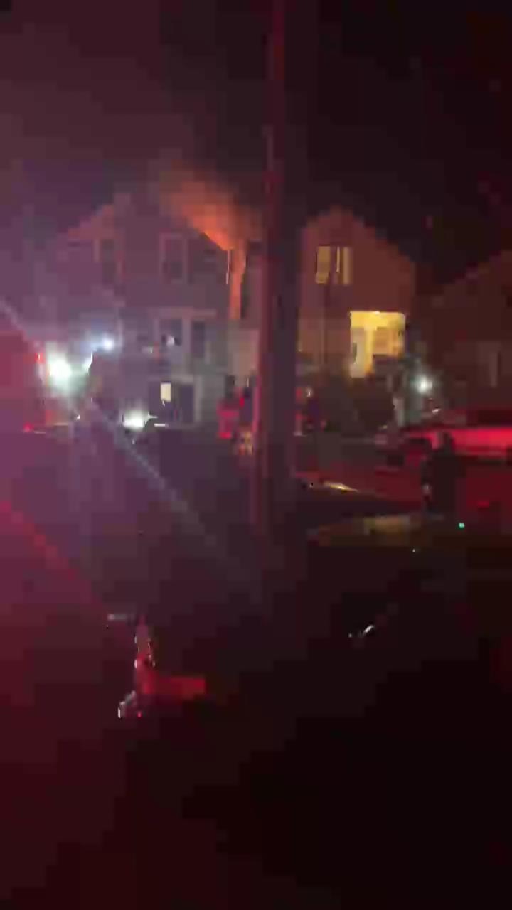 Video 3