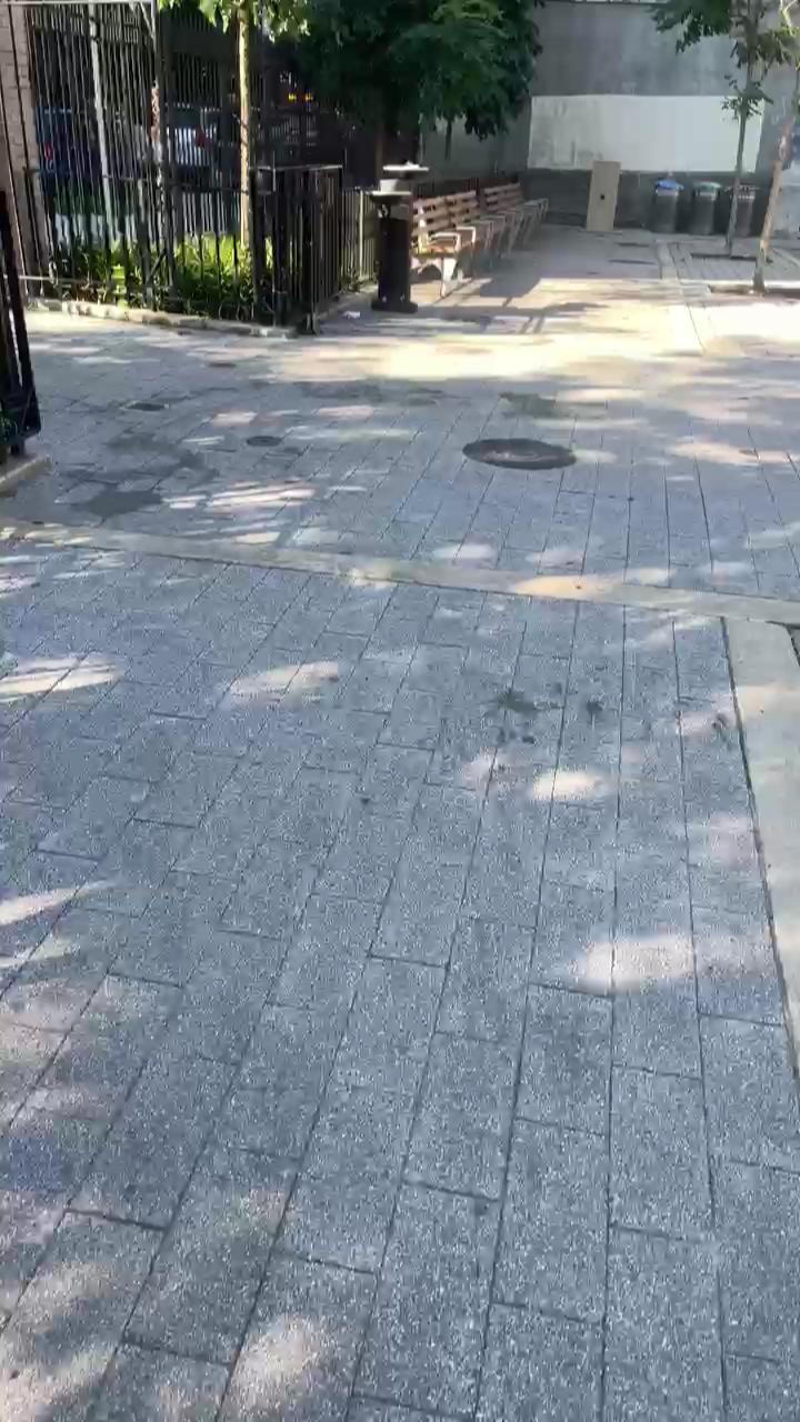 Video 4
