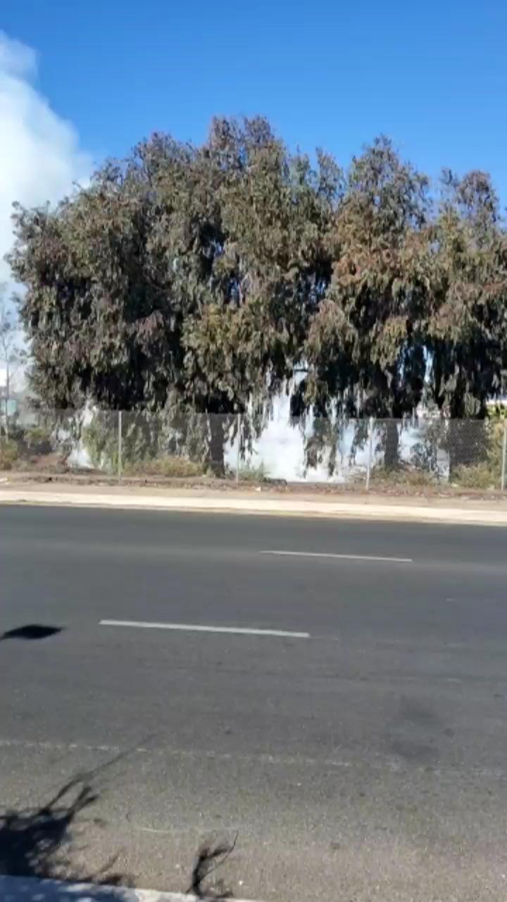 Video 7