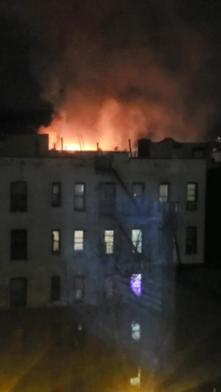 Video 19