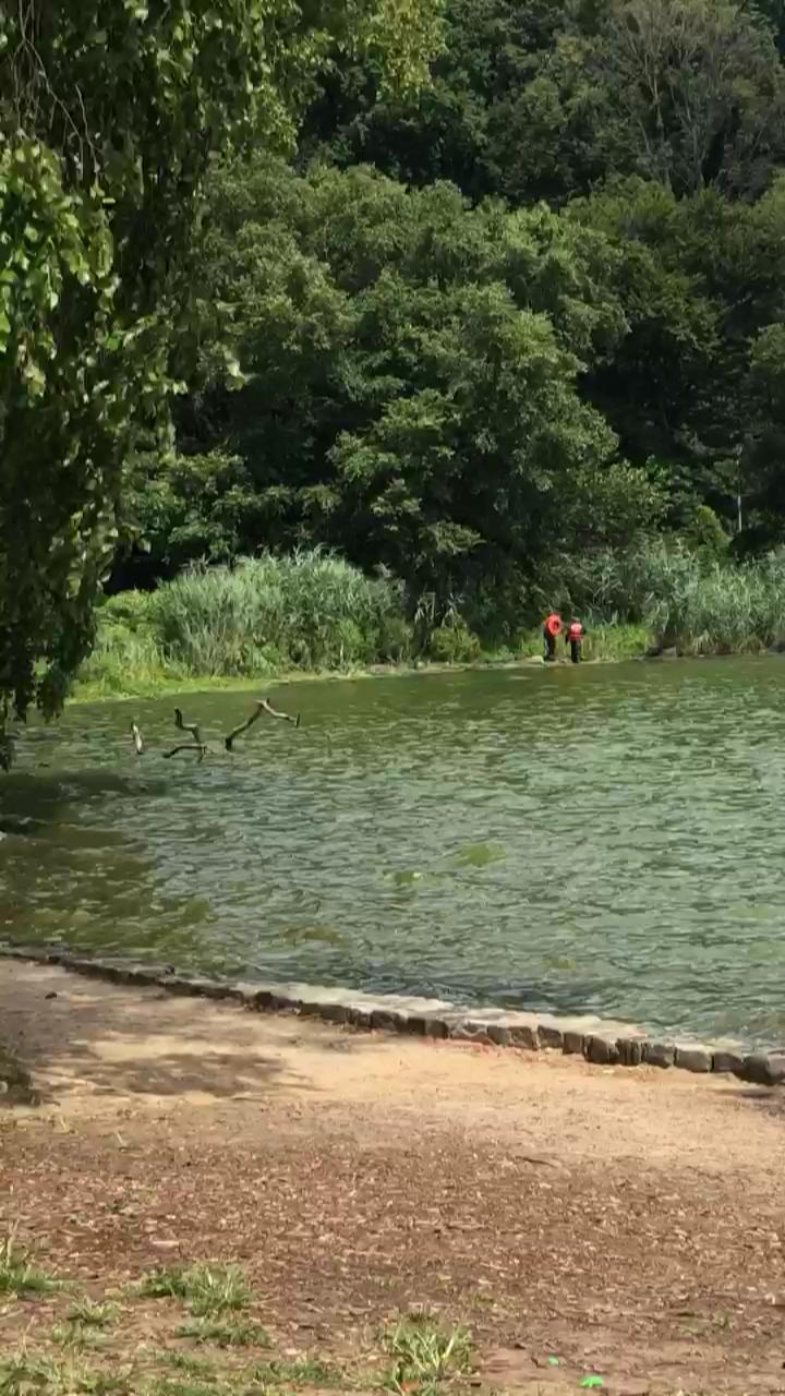 Video 2