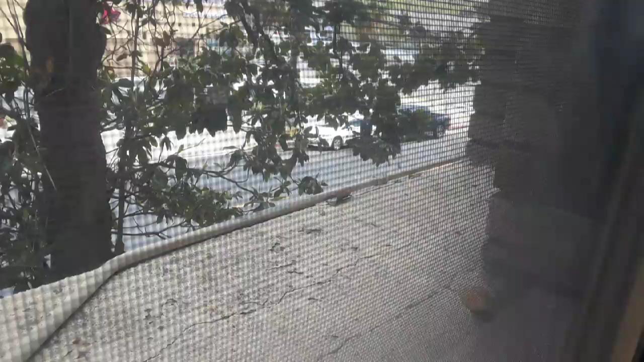 Video 6