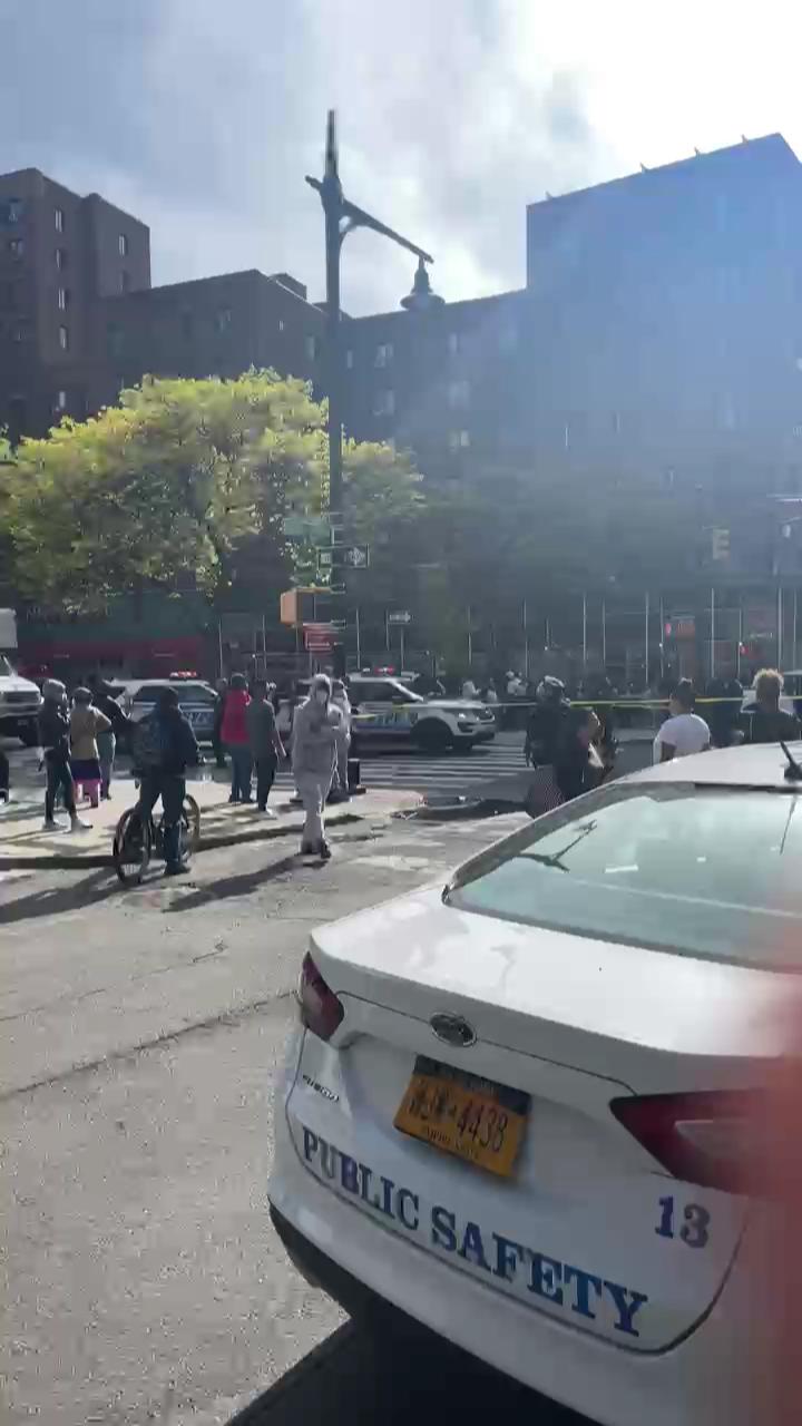 Video 5