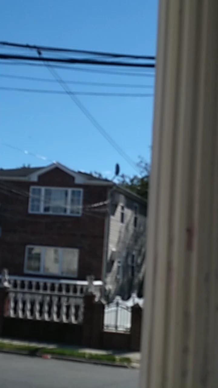 Video 6