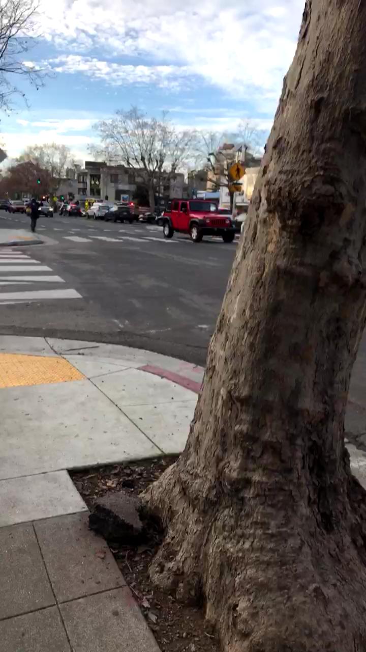 Video 2
