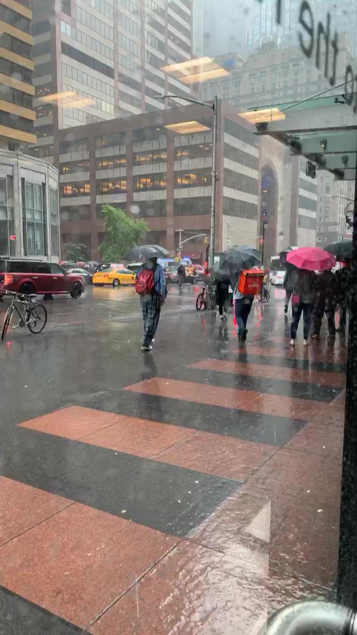 Video 19