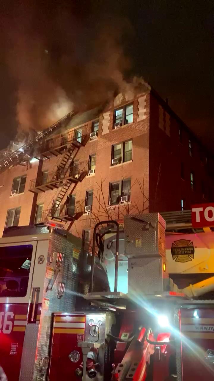 Video 39