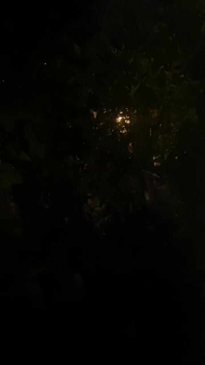 Video 4