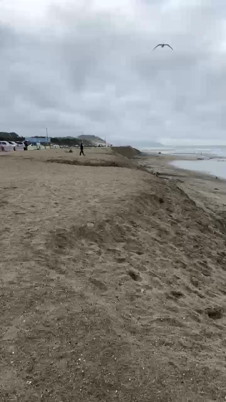 Video 5